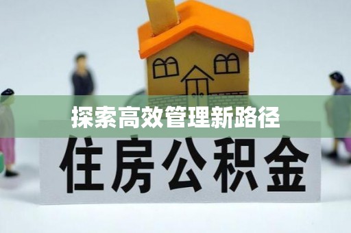 德化探索高效管理新路径