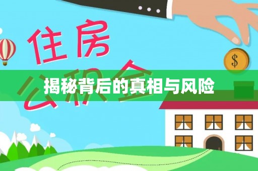 德化揭秘背后的真相与风险