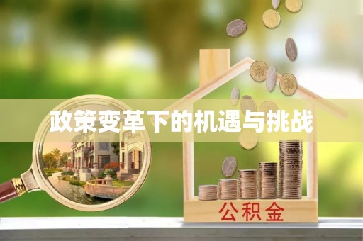 德化政策变革下的机遇与挑战
