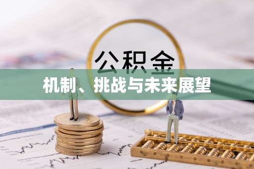德化机制、挑战与未来展望